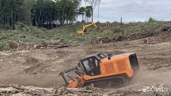 Расчистка 24/7, мульчирование от 1 Га, выкорчевка — фото 4